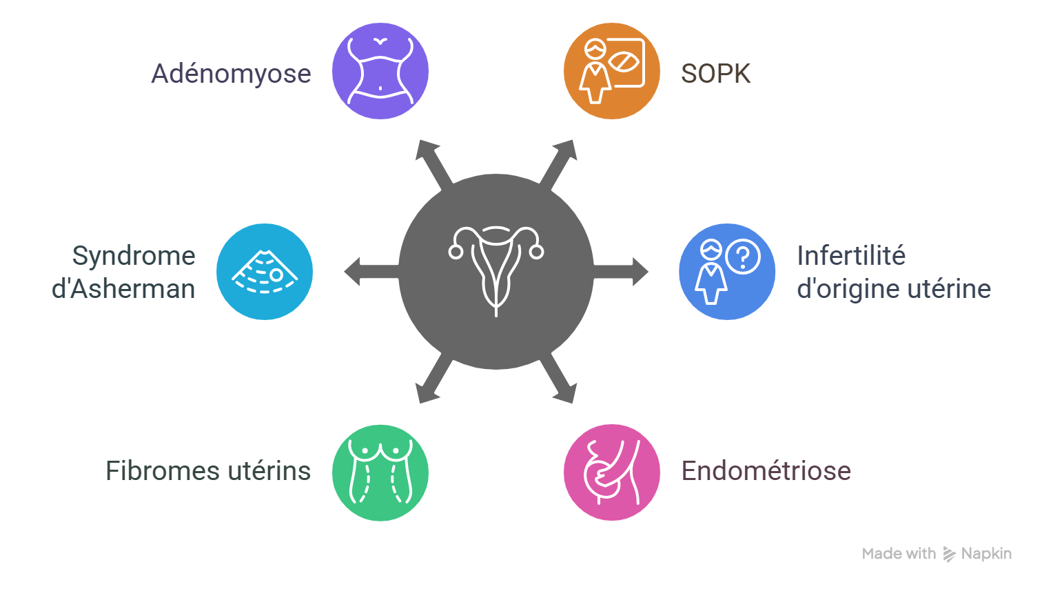 Utérus antéversé : causes, symptômes, fertilité