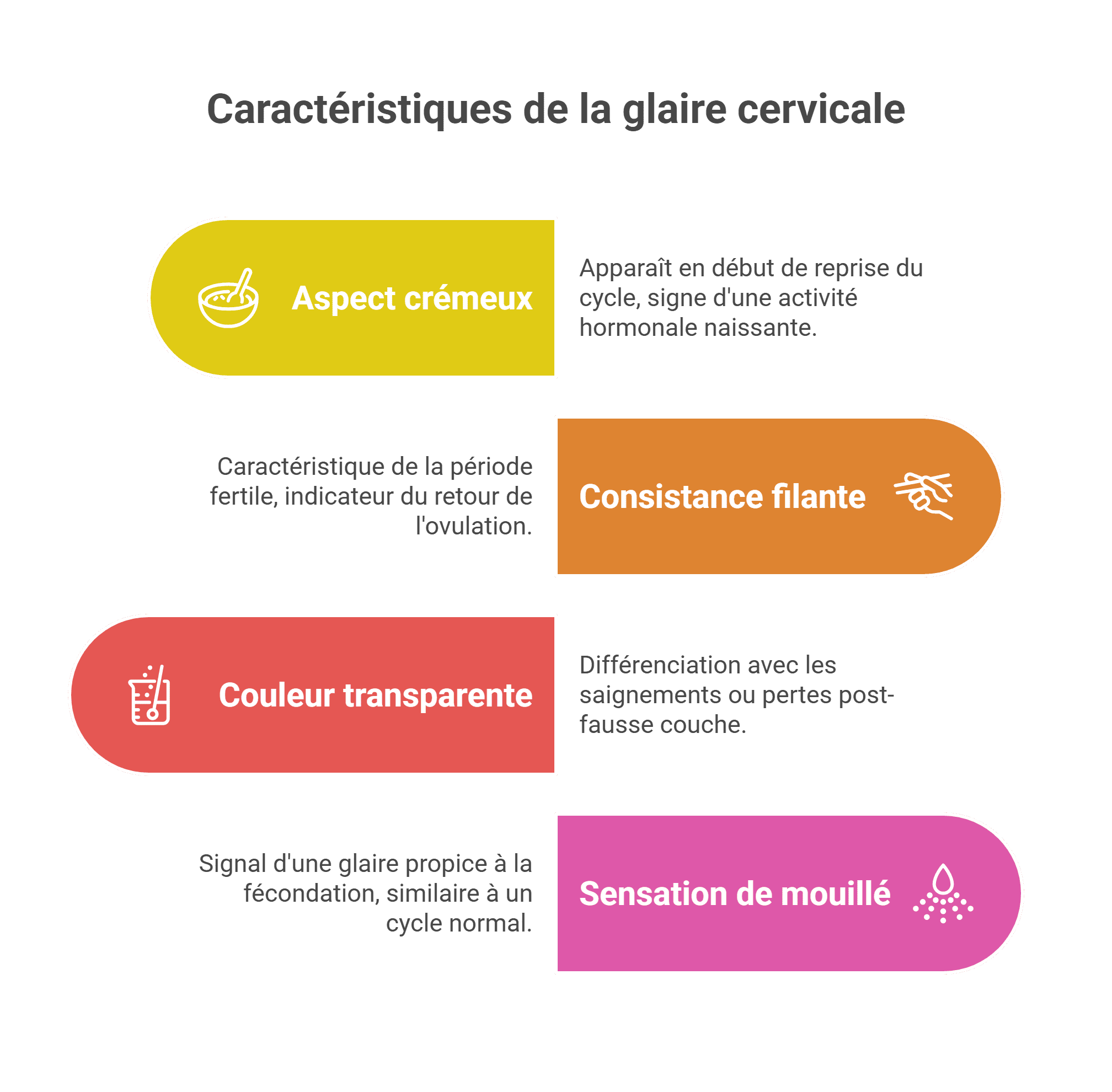 Ovulation apres fausse couche: délai 2-6 semaines