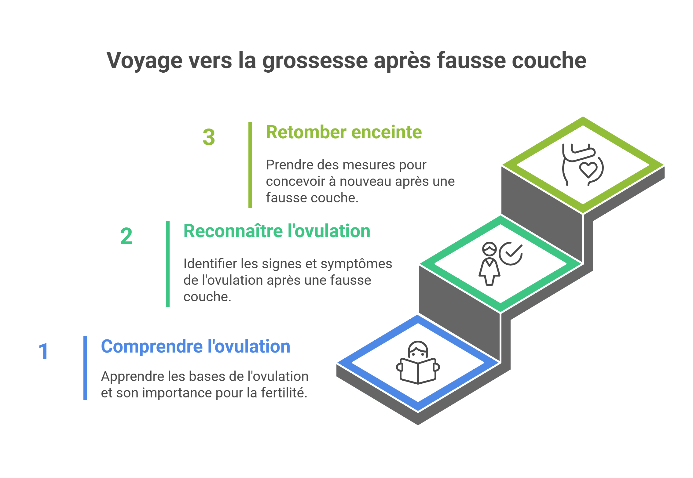 Ovulation apres fausse couche: délai 2-6 semaines