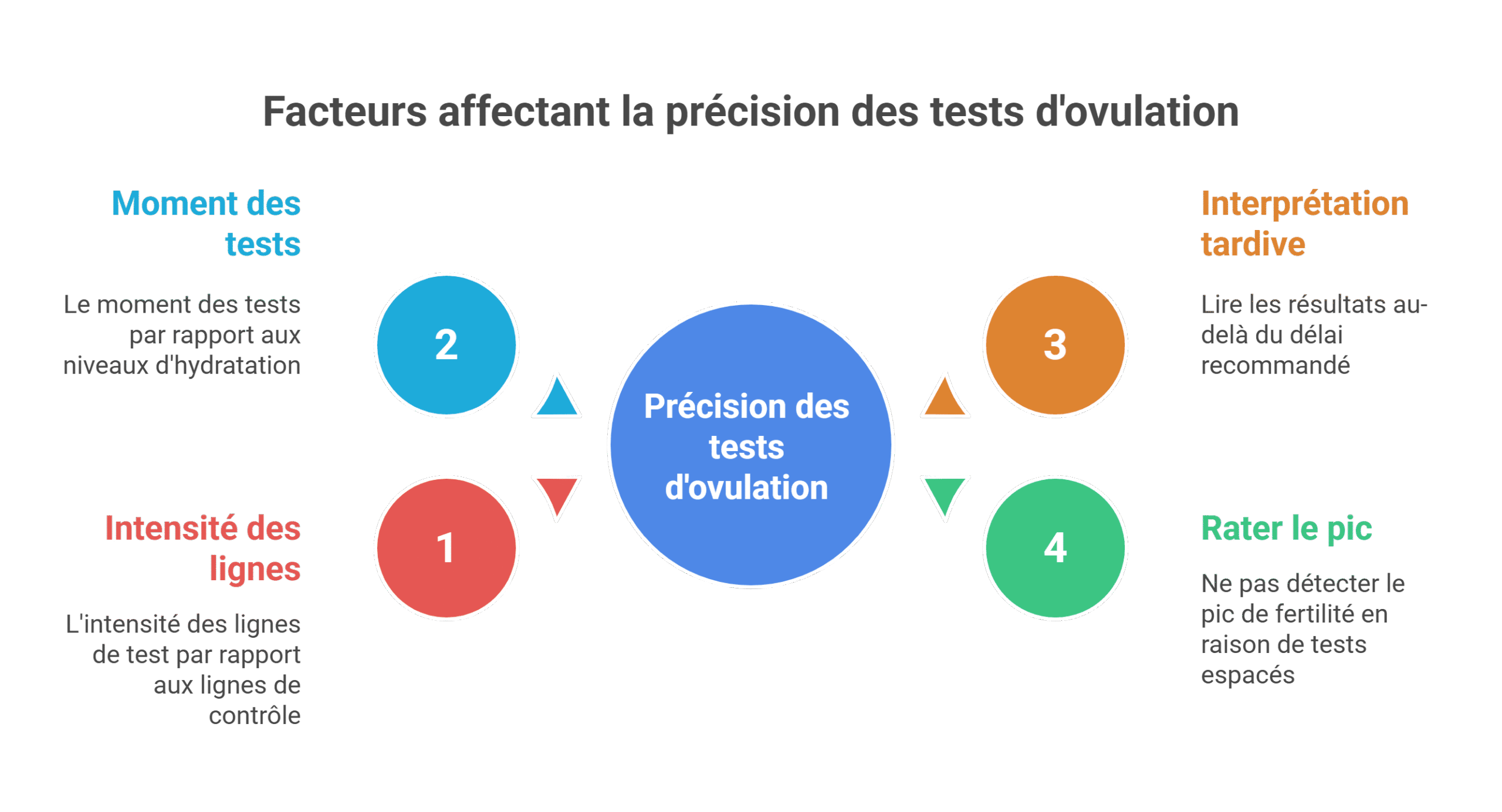 Test ovulation : décrypter votre période fertile