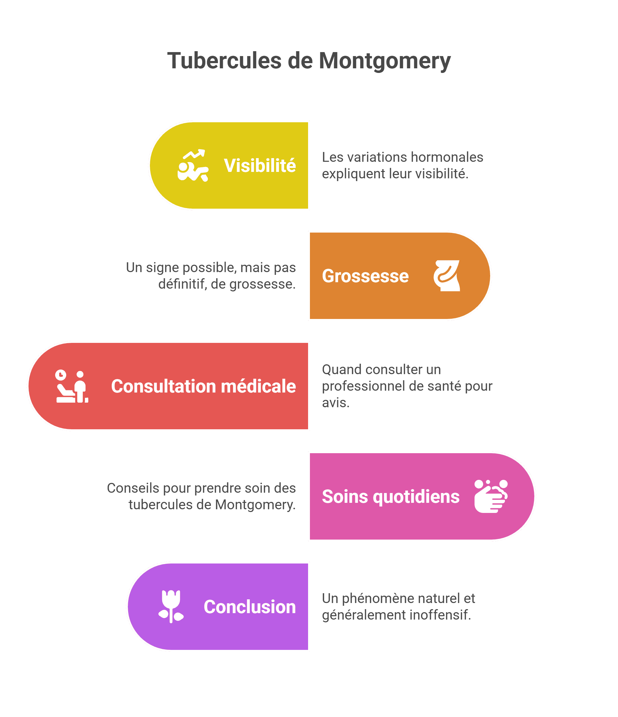 Tubercules de Montgomery sans grossesse: causes hormonales